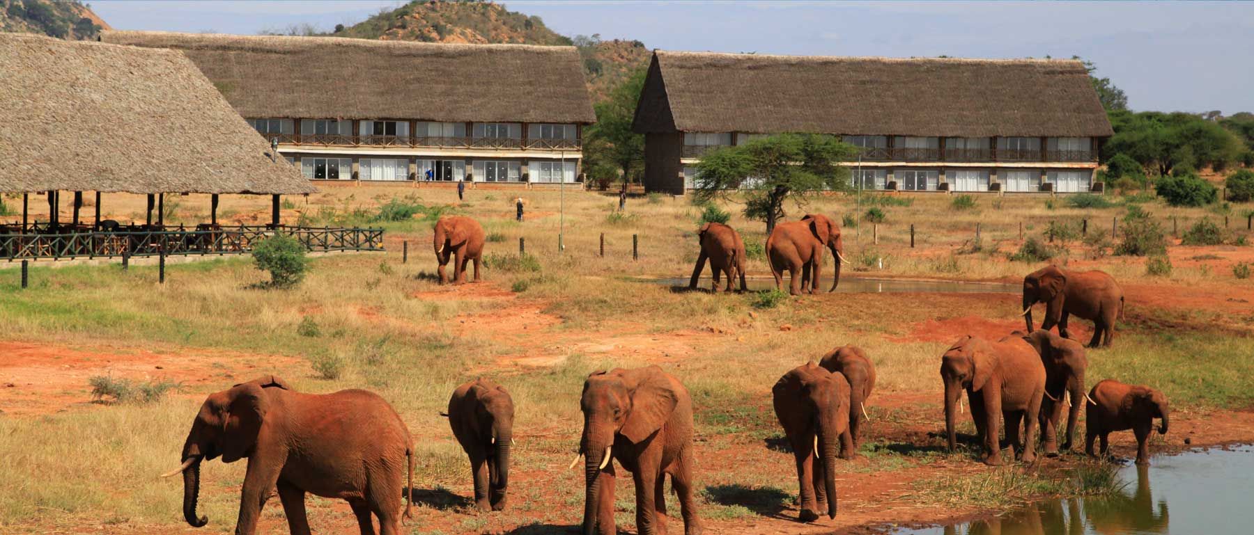 Manyatta Camp, Tsavo | Timbuktu Travel