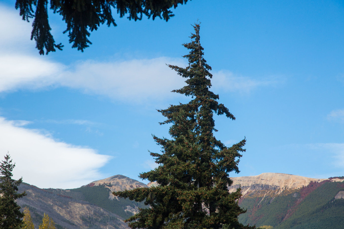 Raices Bed & Breakfast, Carretera Austral South | Timbuktu Travel