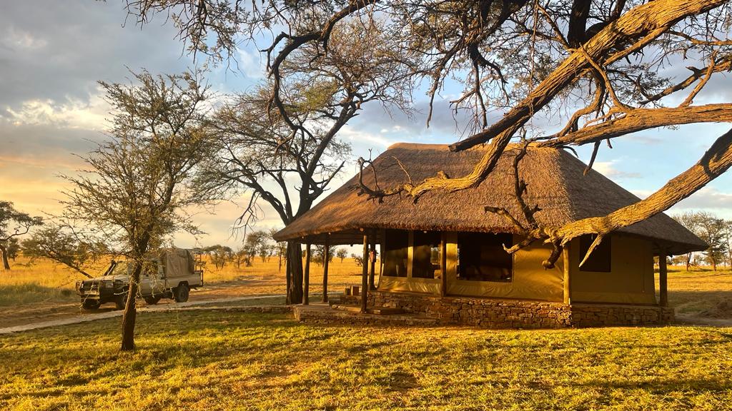 Togoro Plains, Serengeti | Timbuktu Travel