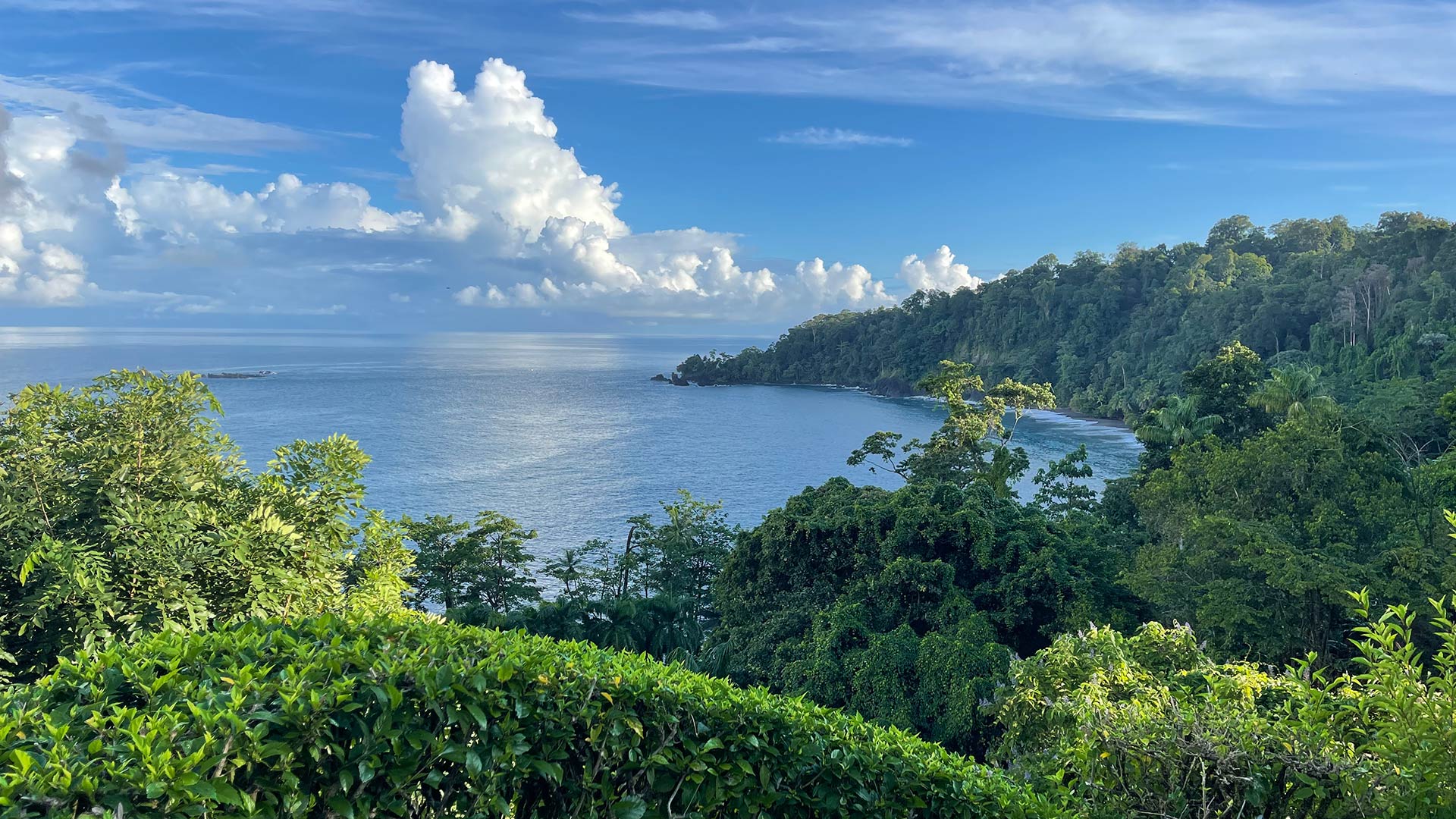 SCP Corcovado Wilderness Lodge, Corcovado & Osa Peninsula | Timbuktu Travel