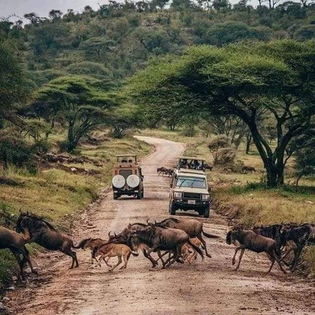 Serengeti National Park