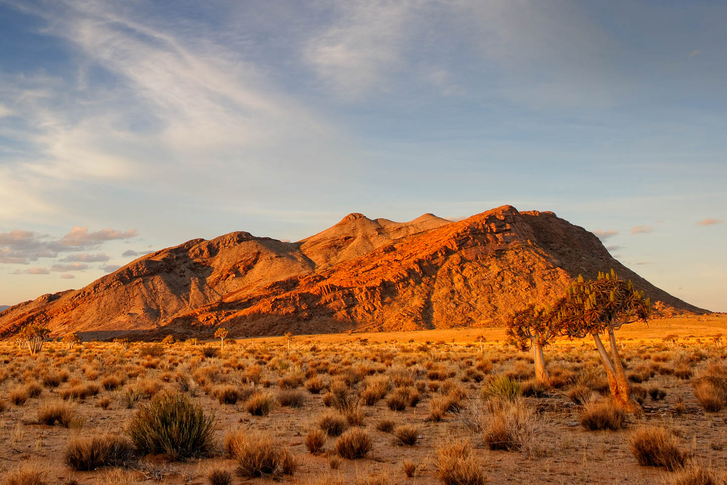 Zelda Game & Guest Farm