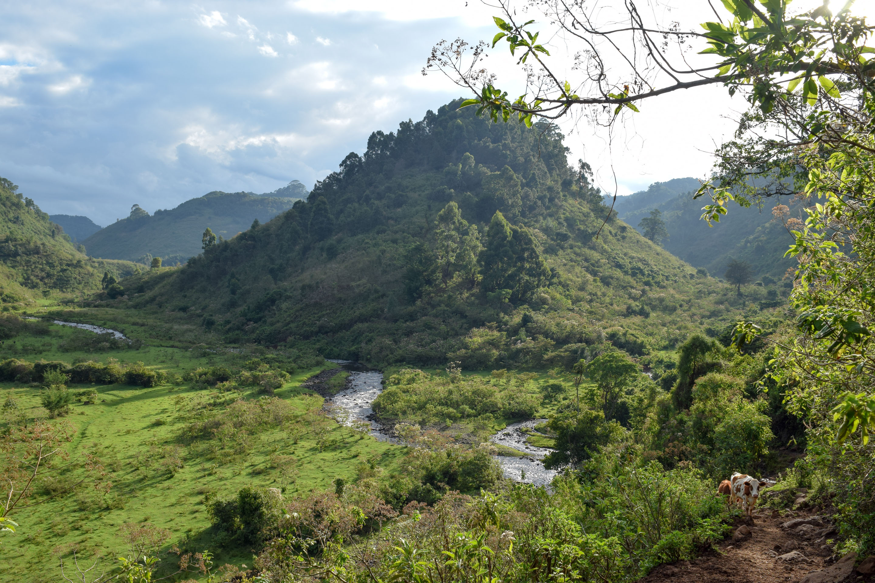 Aberdare Country Club
