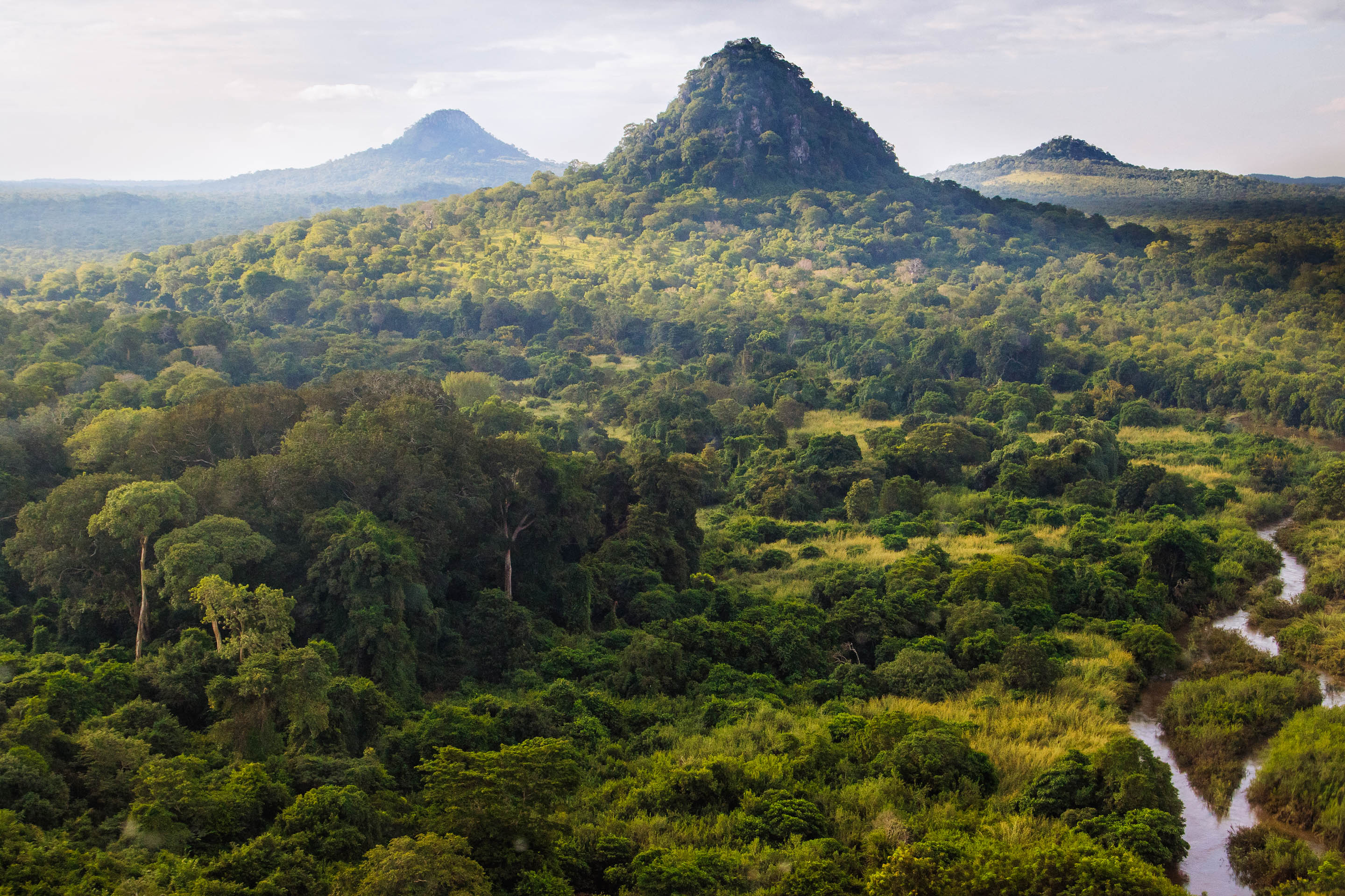 Gorongosa National Park