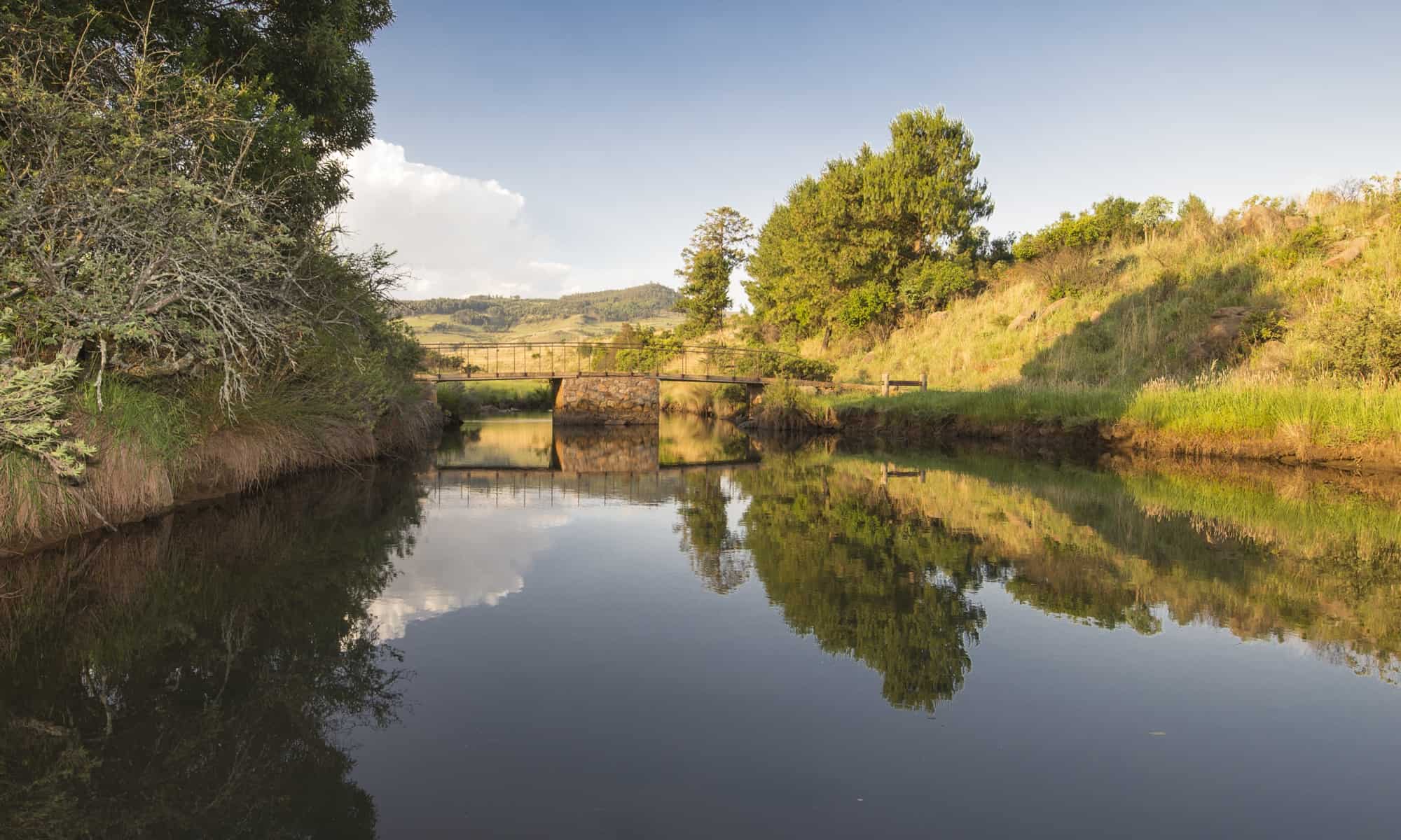 Critchley Hackle Lodge