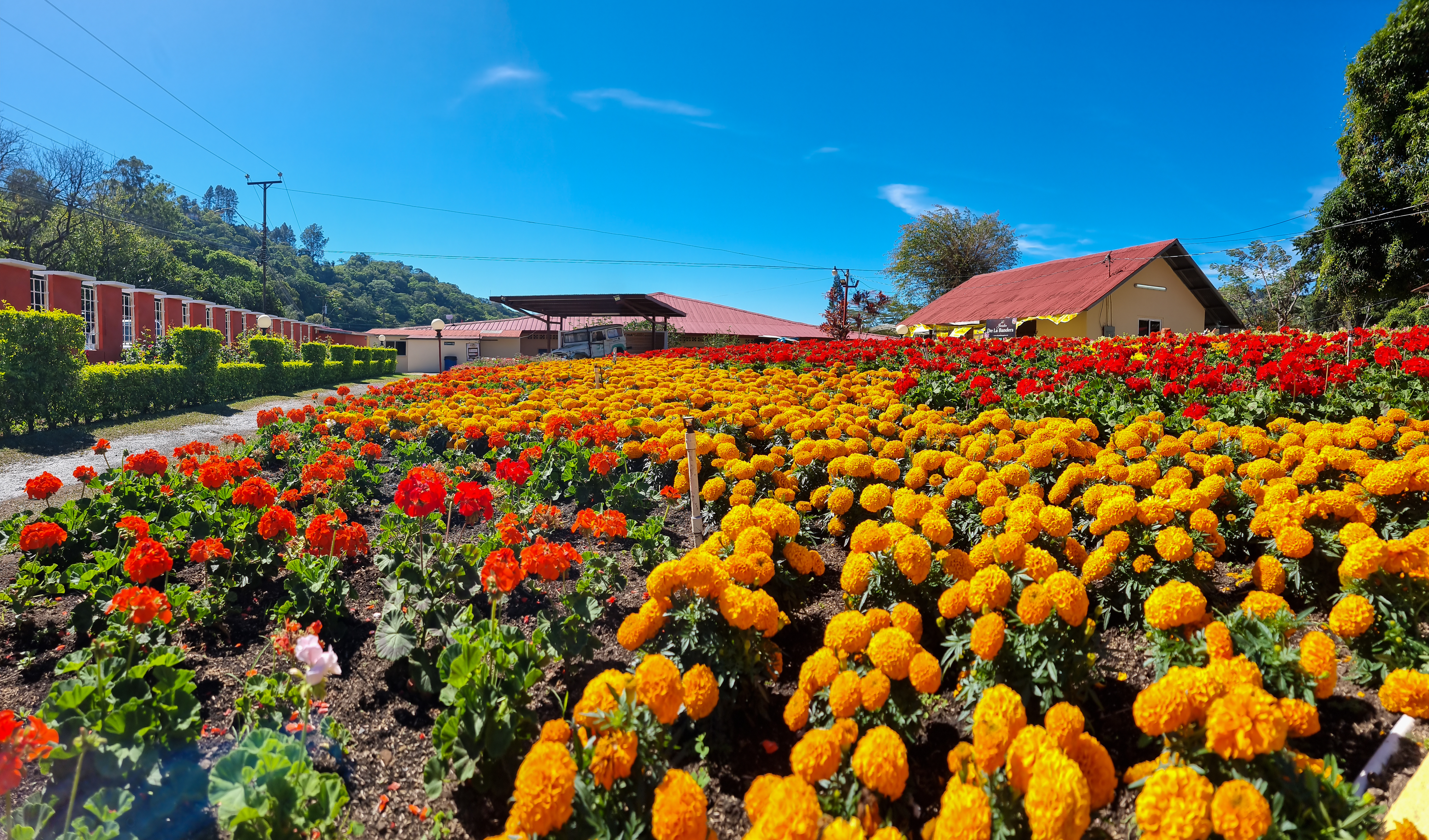 The Inn at Palo Alto