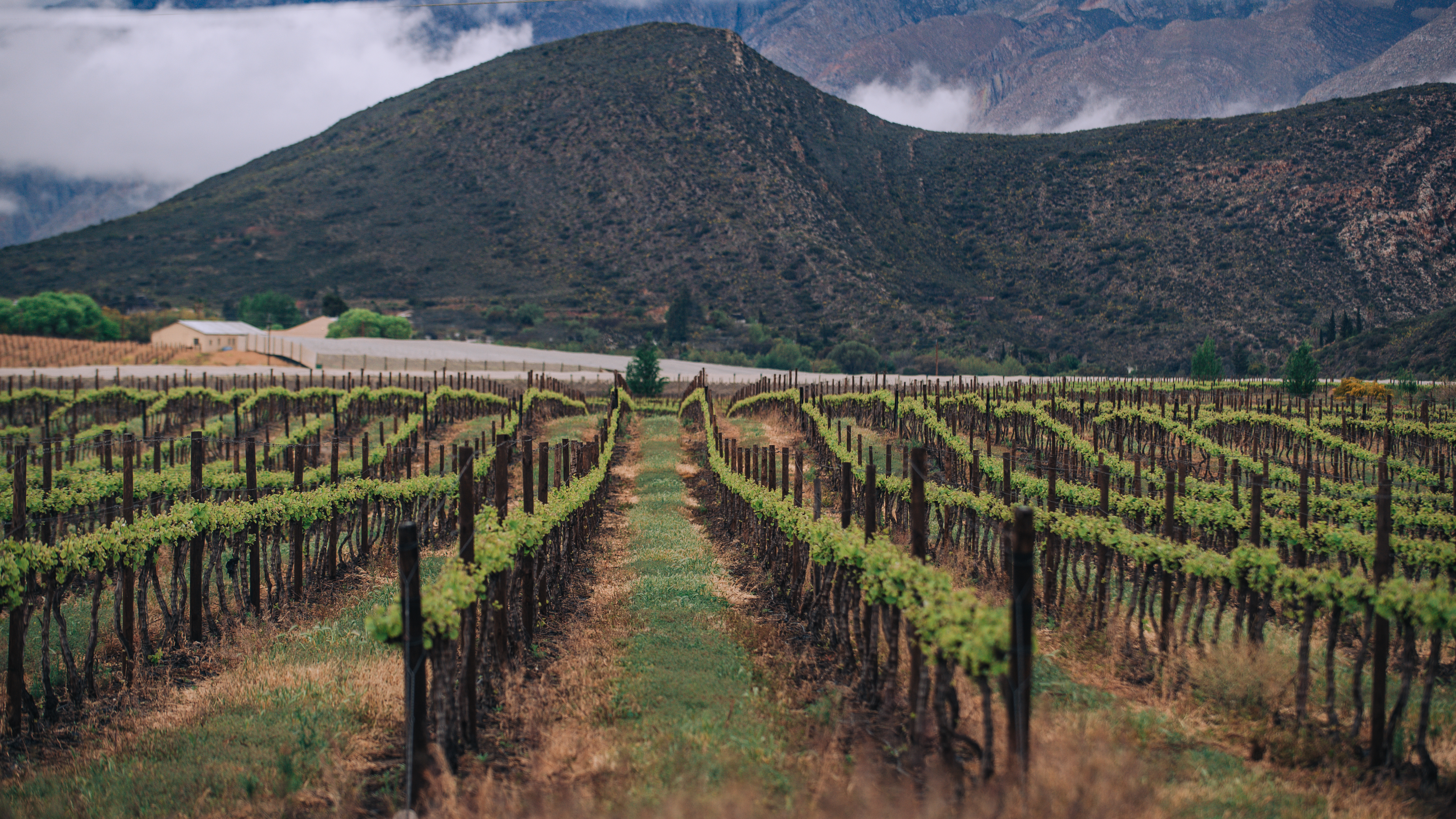 Abrikoos Kloof - The Mountain House