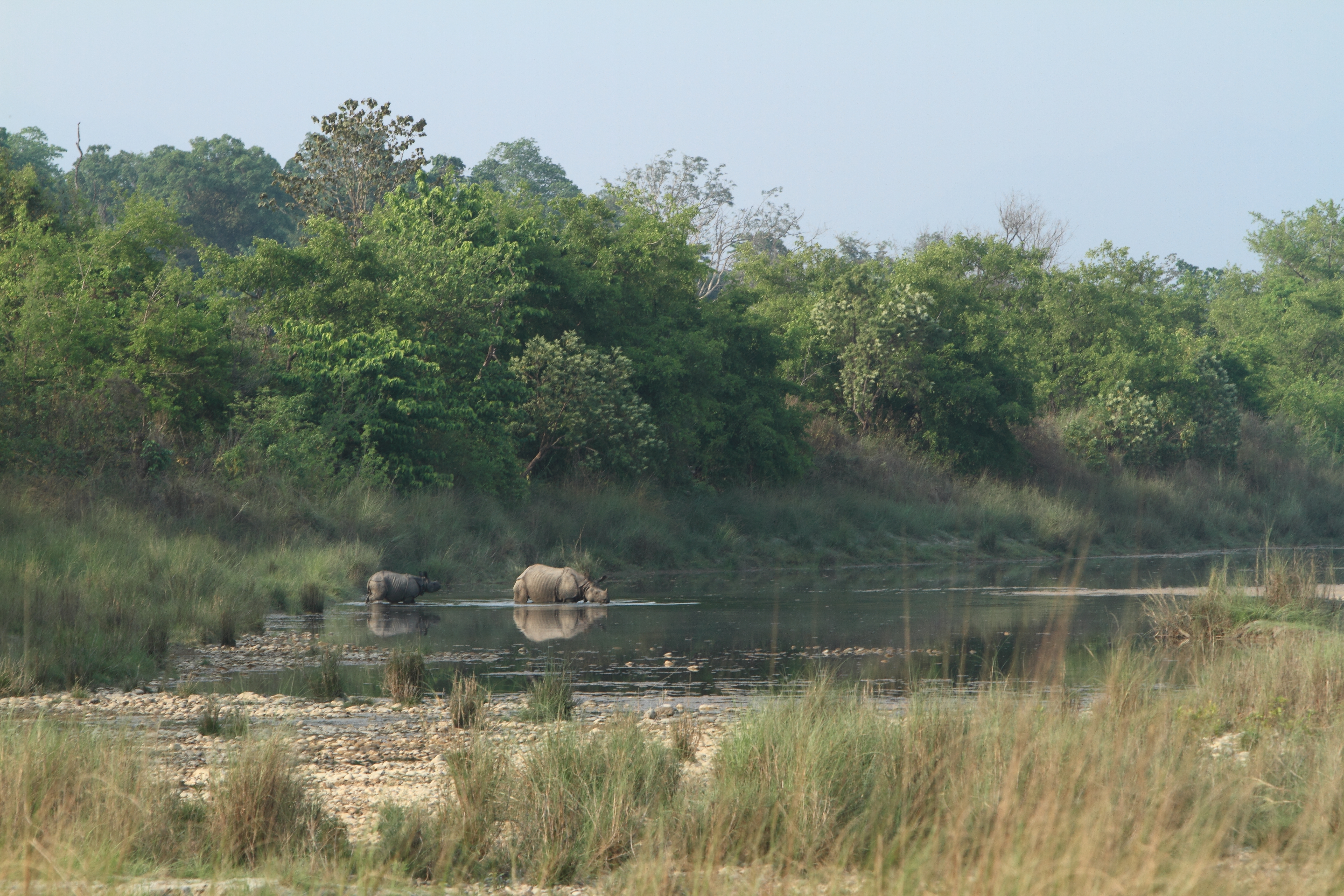 Bardia National Park
