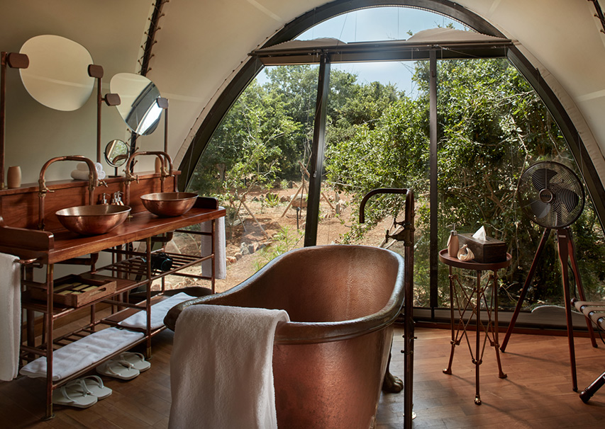 Family Cocoon Suite with Urchin