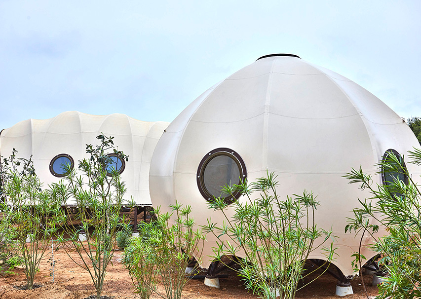 Family Cocoon Suite with Urchin