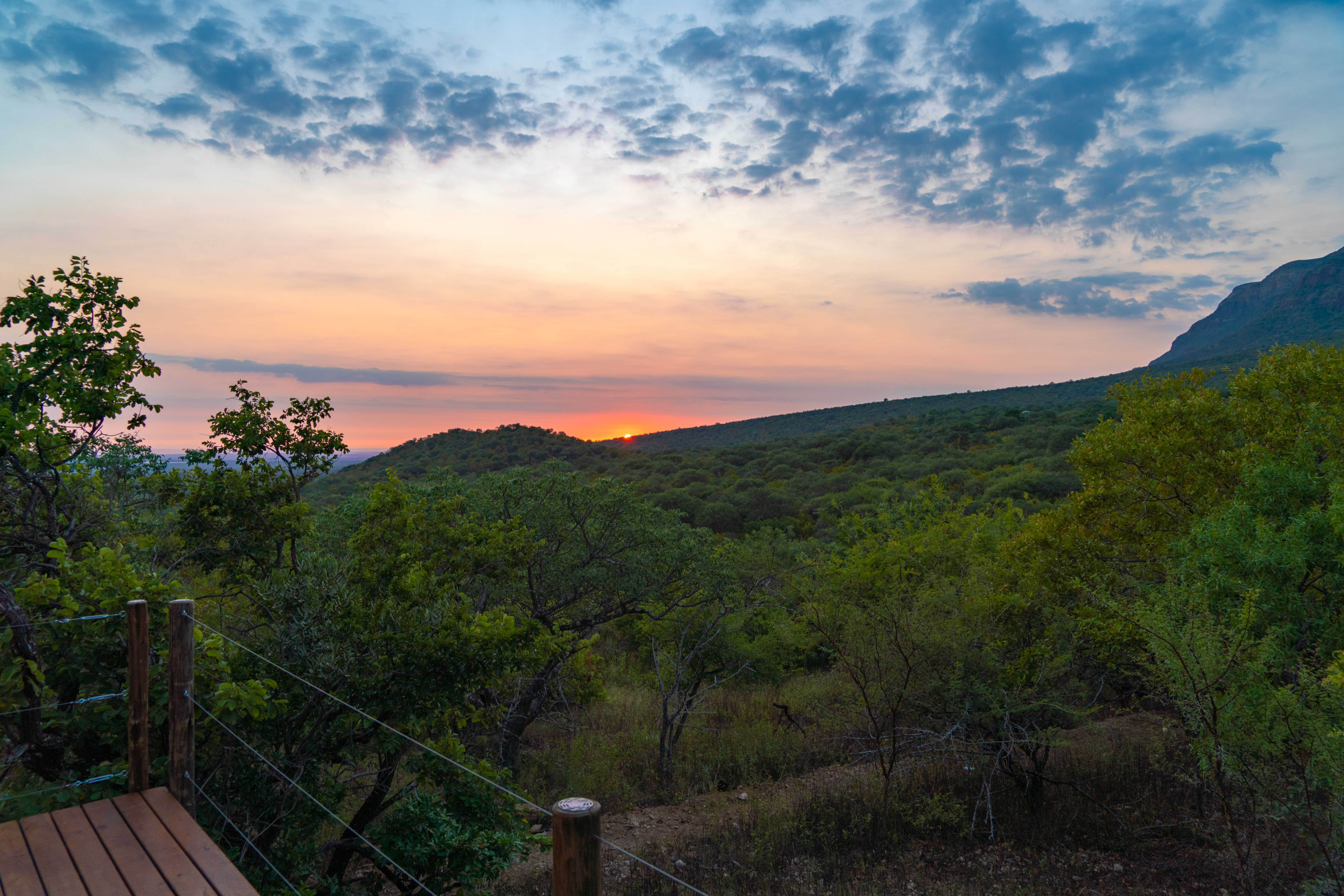 Luxury Tented Suites