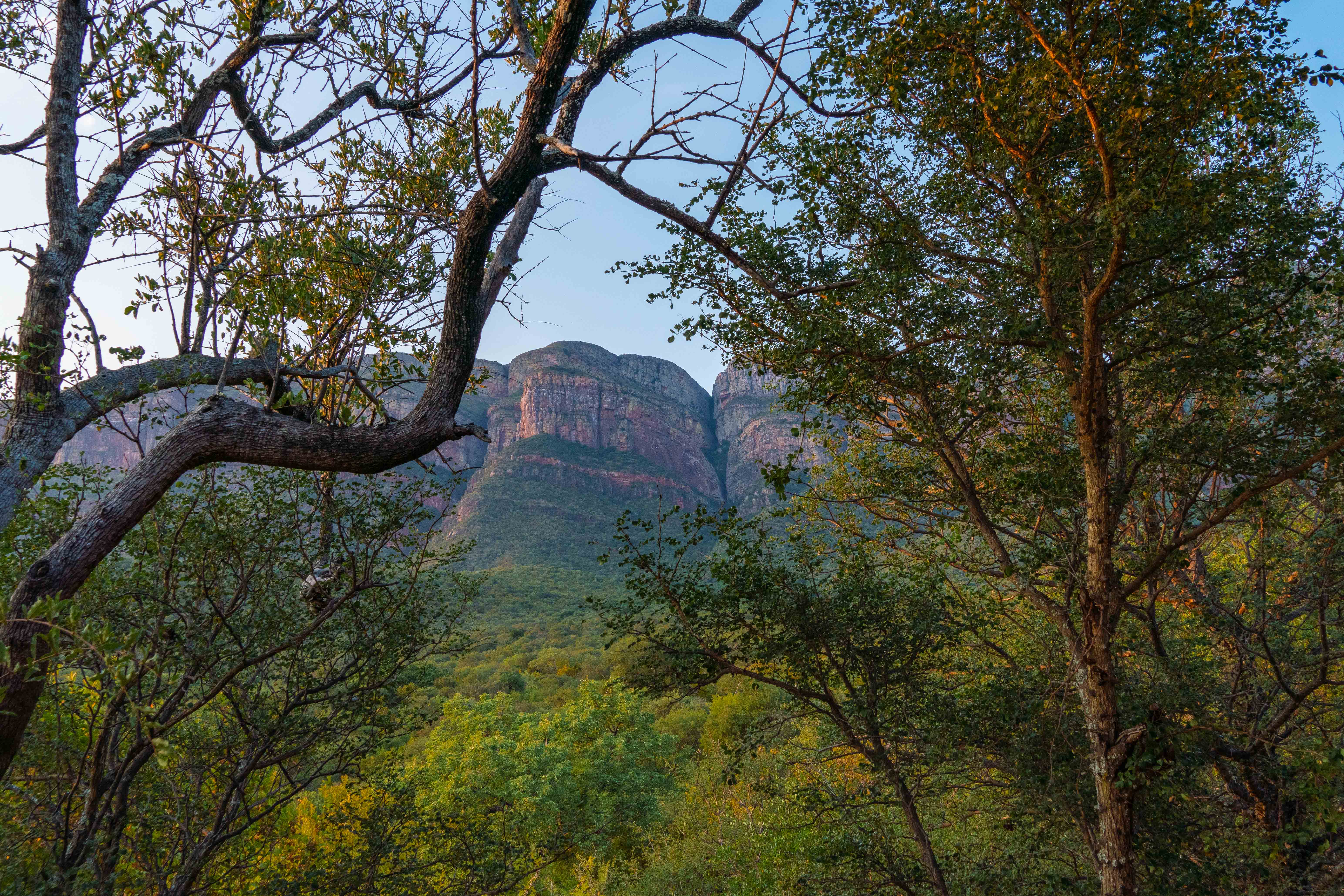 Family & Friends Double Luxury Tented Suite