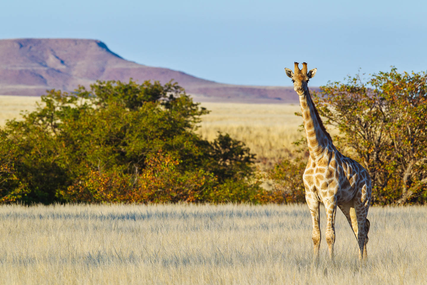 Excellent and efficient service. Kat was exceptional.