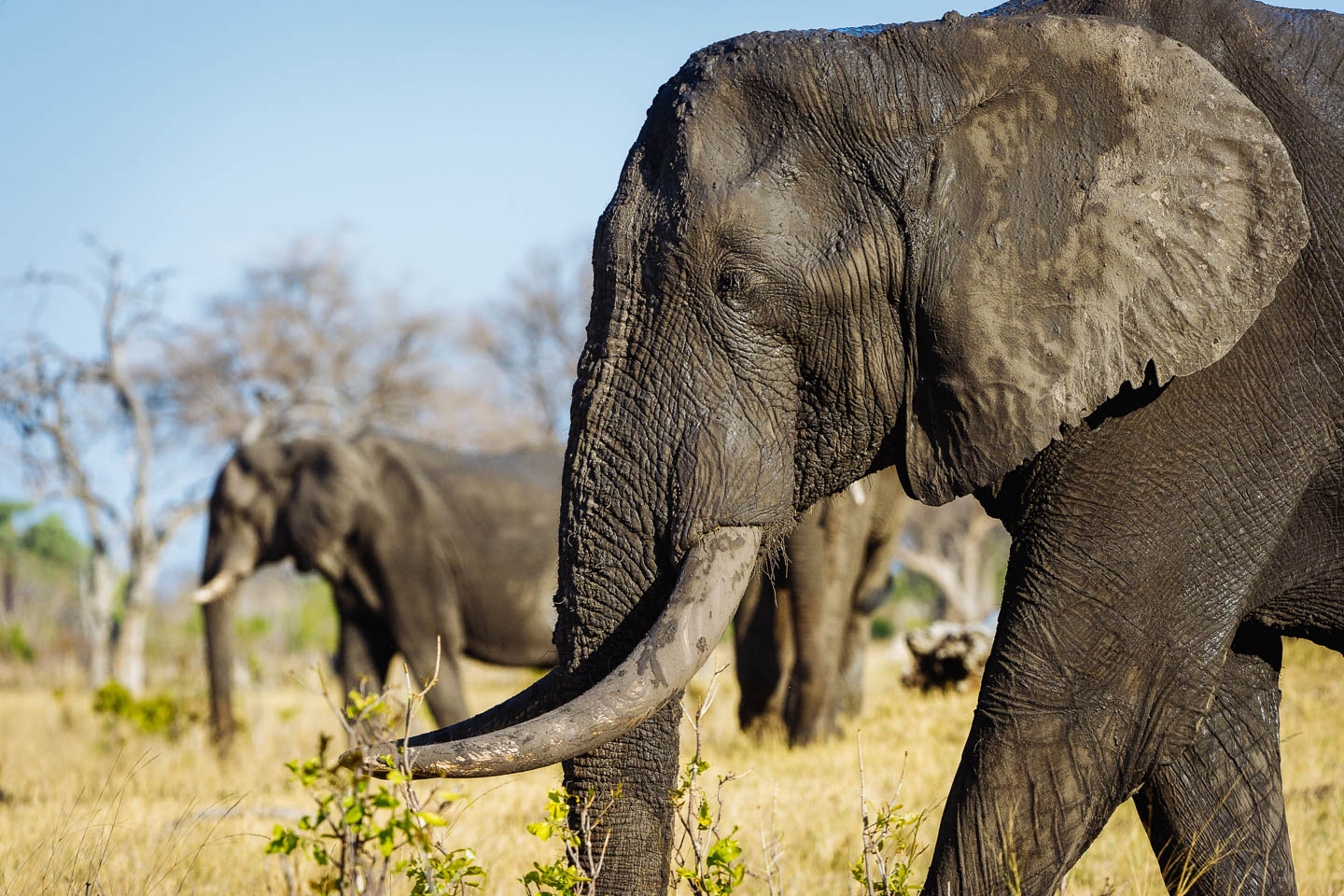 Knowledgeable and helpful