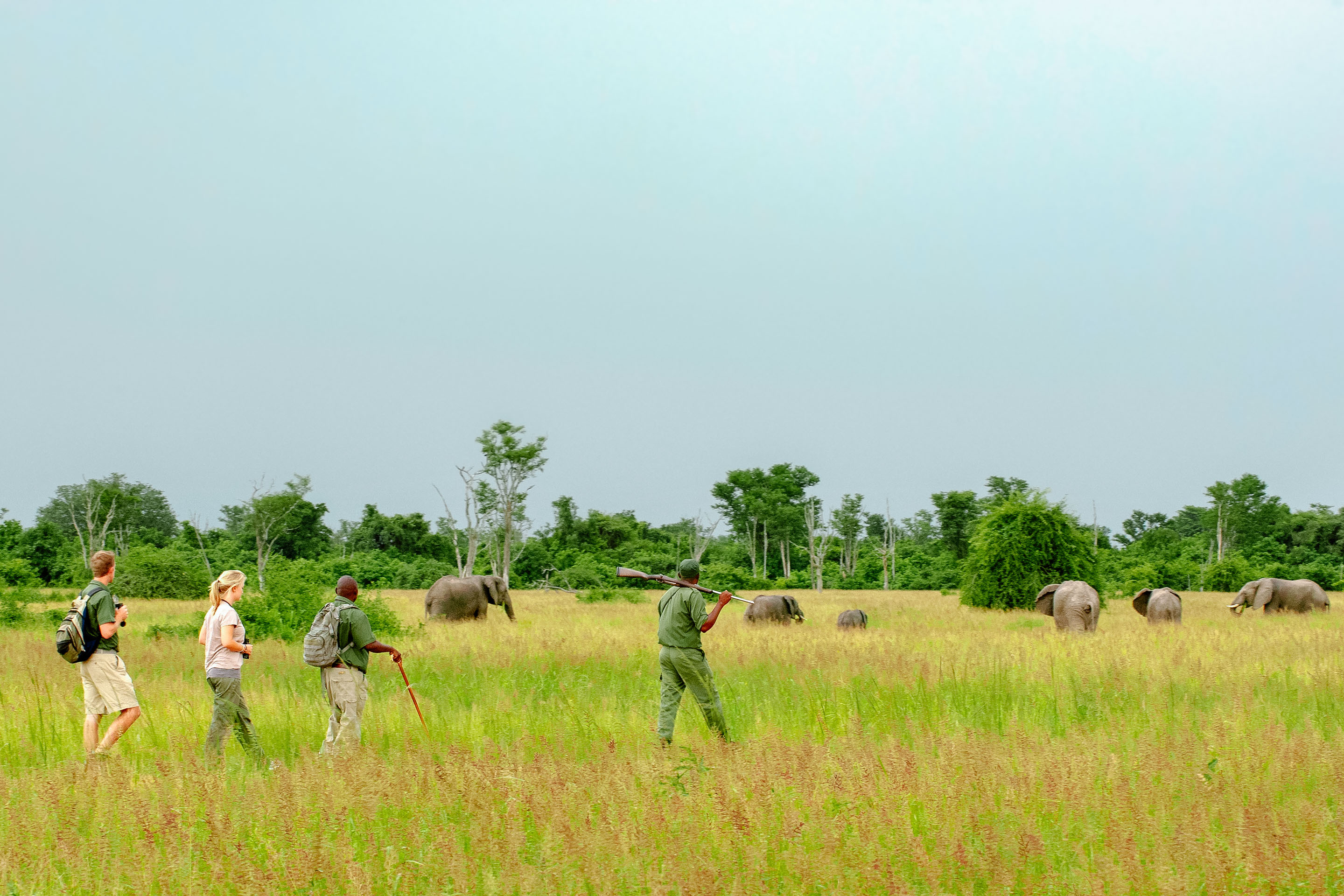 Zambia’s green season gems