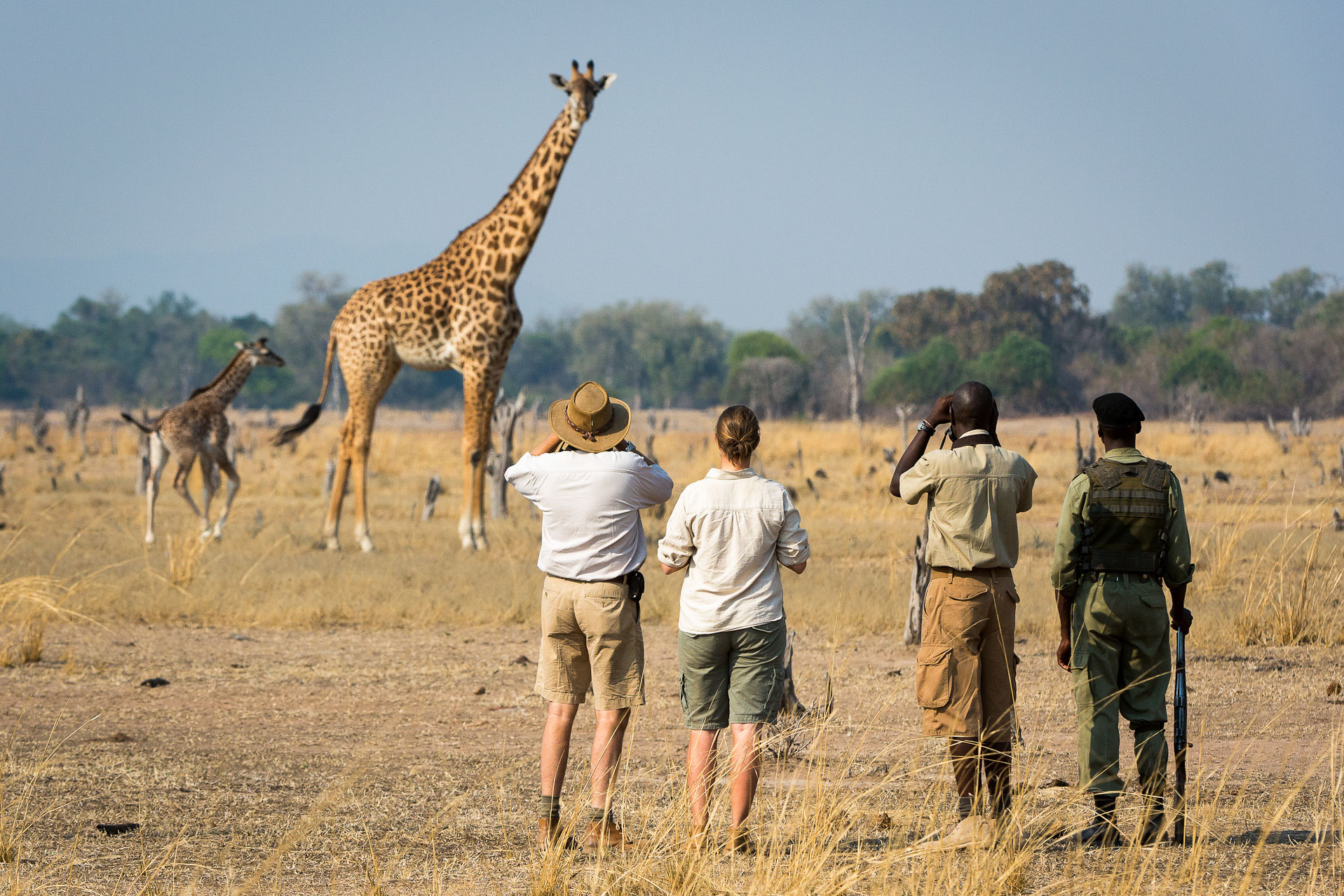 The Ultimate Zambian Walking Safari