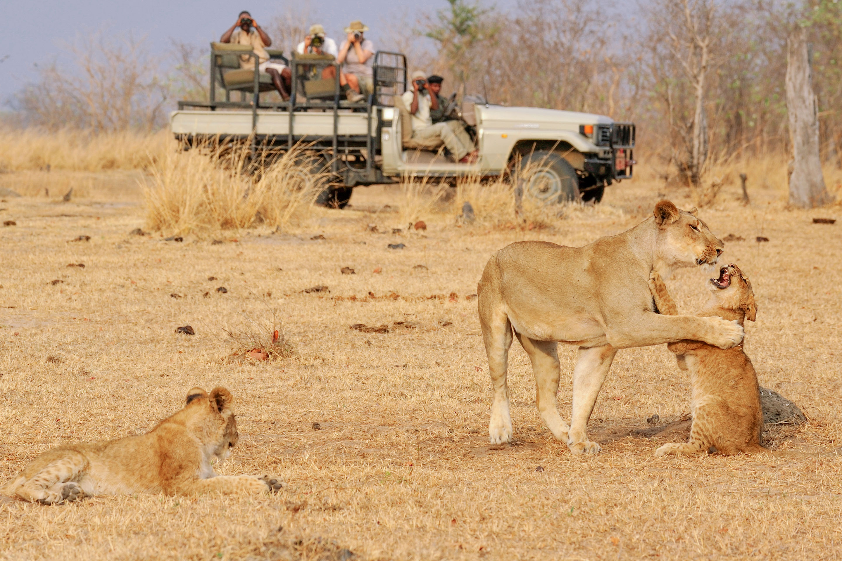Rugged Zambia with a Lake Malawi beach retreat