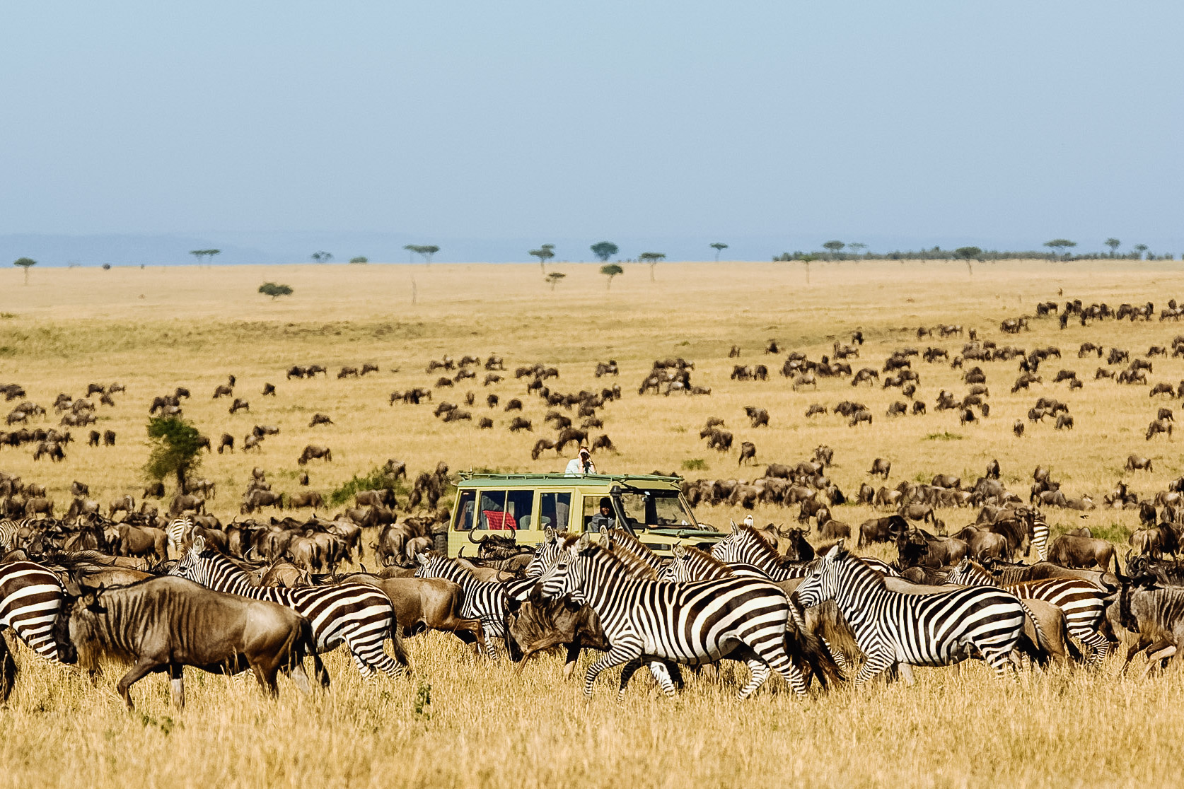 A driving expedition through northern Tanzania
