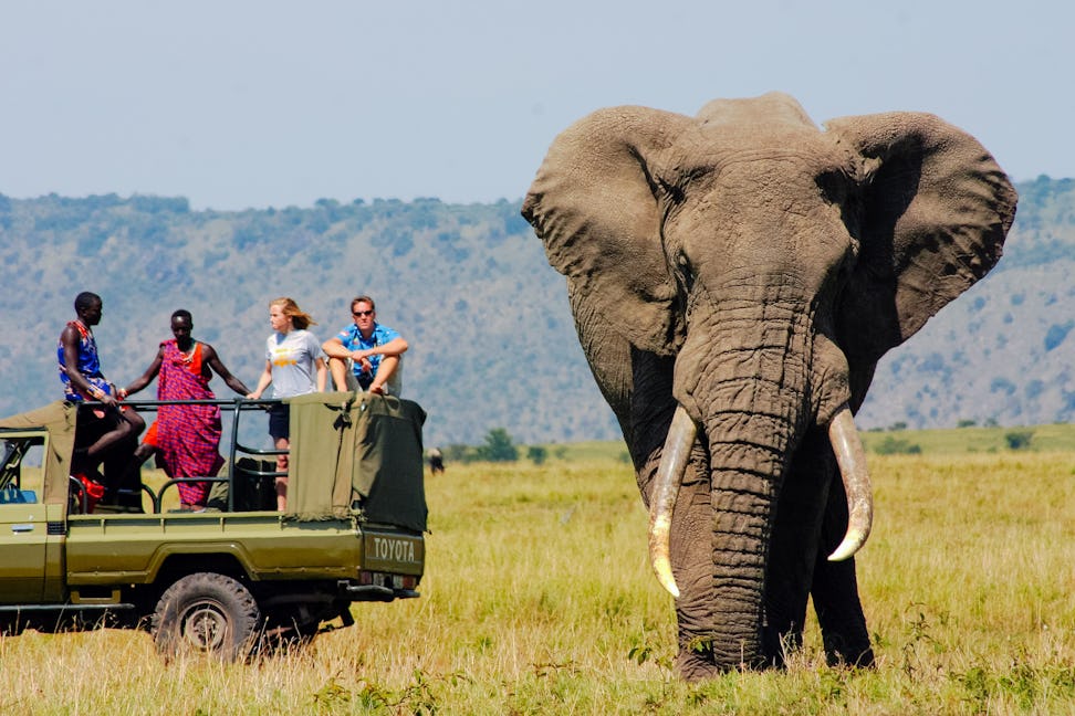 Kenya Family friendly destinations | 10 Best Family-Friendly Safari Destinations in Kenya