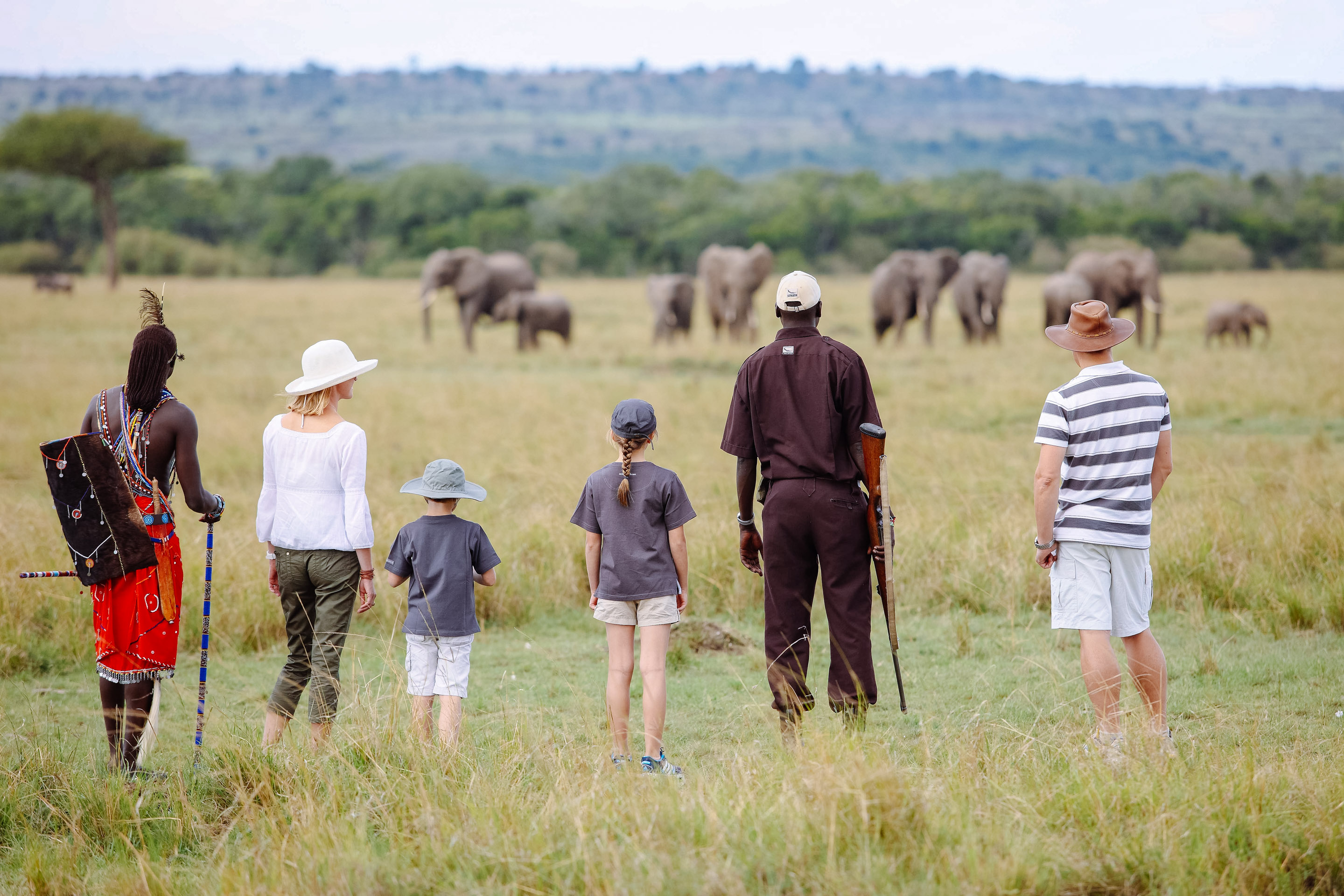 Conservation, cats and walking safaris in Kenya