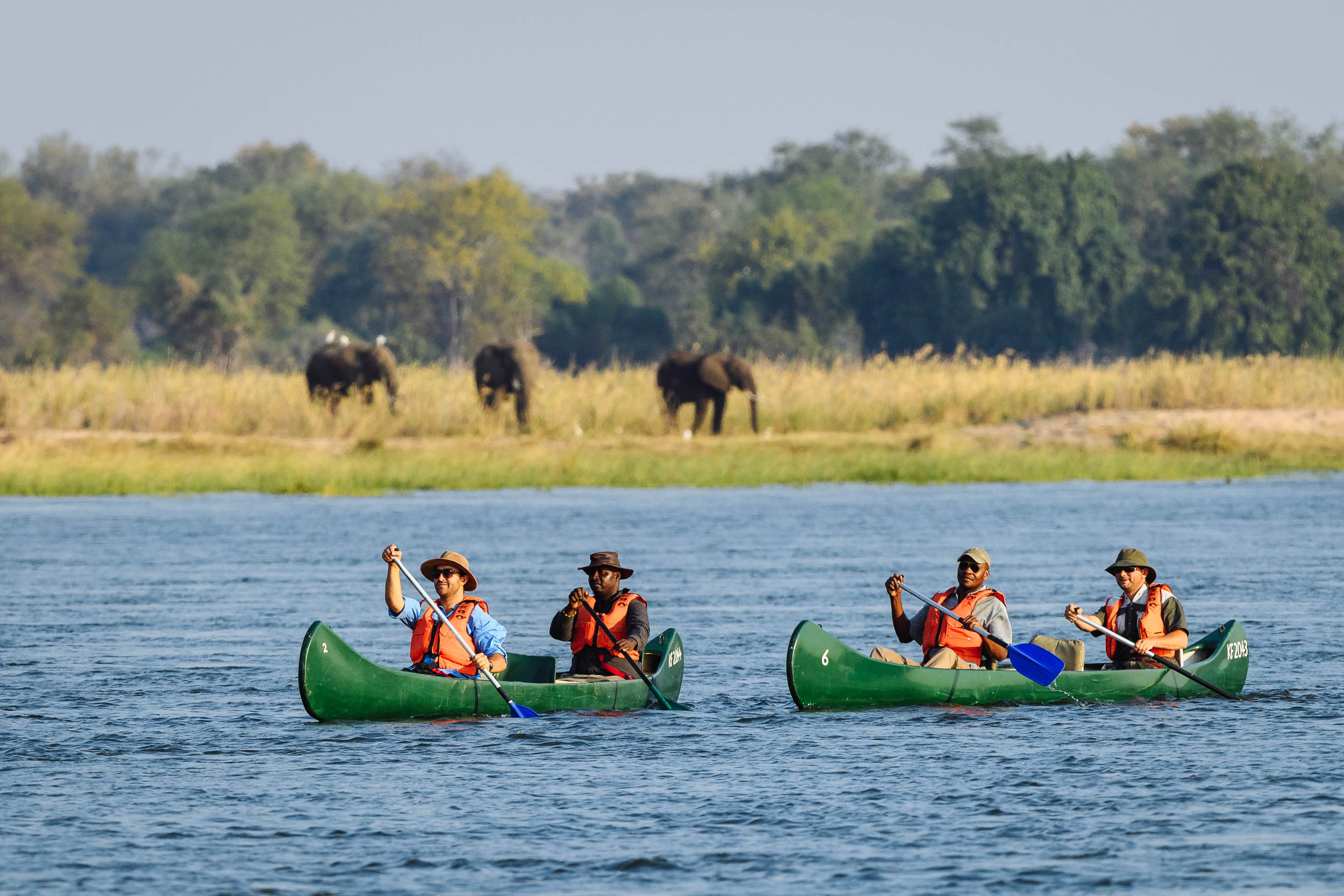 Walking safaris & canoe expeditions in Zimbabwe