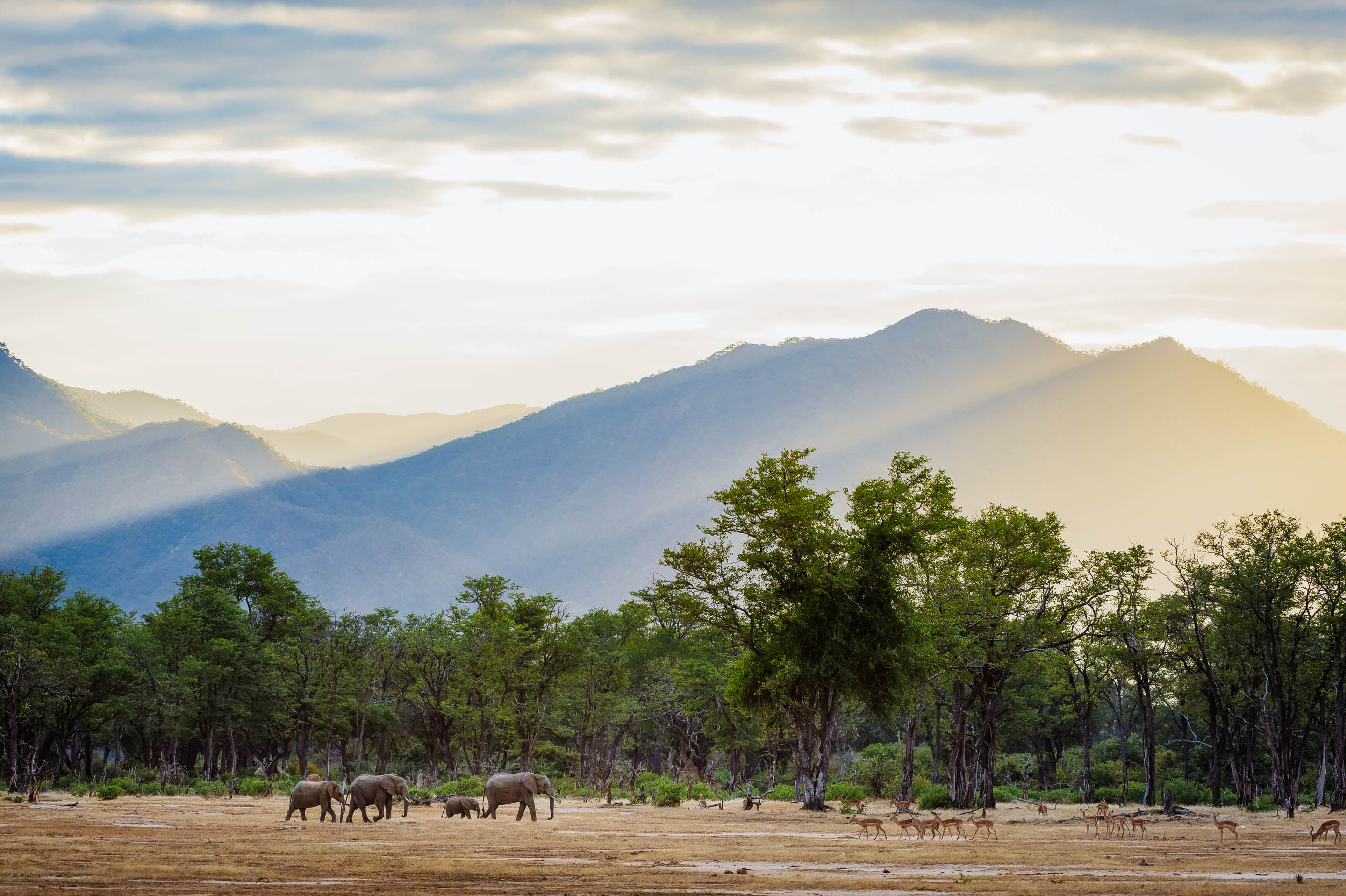 An Adventure in Zambia and Zimbabwe
