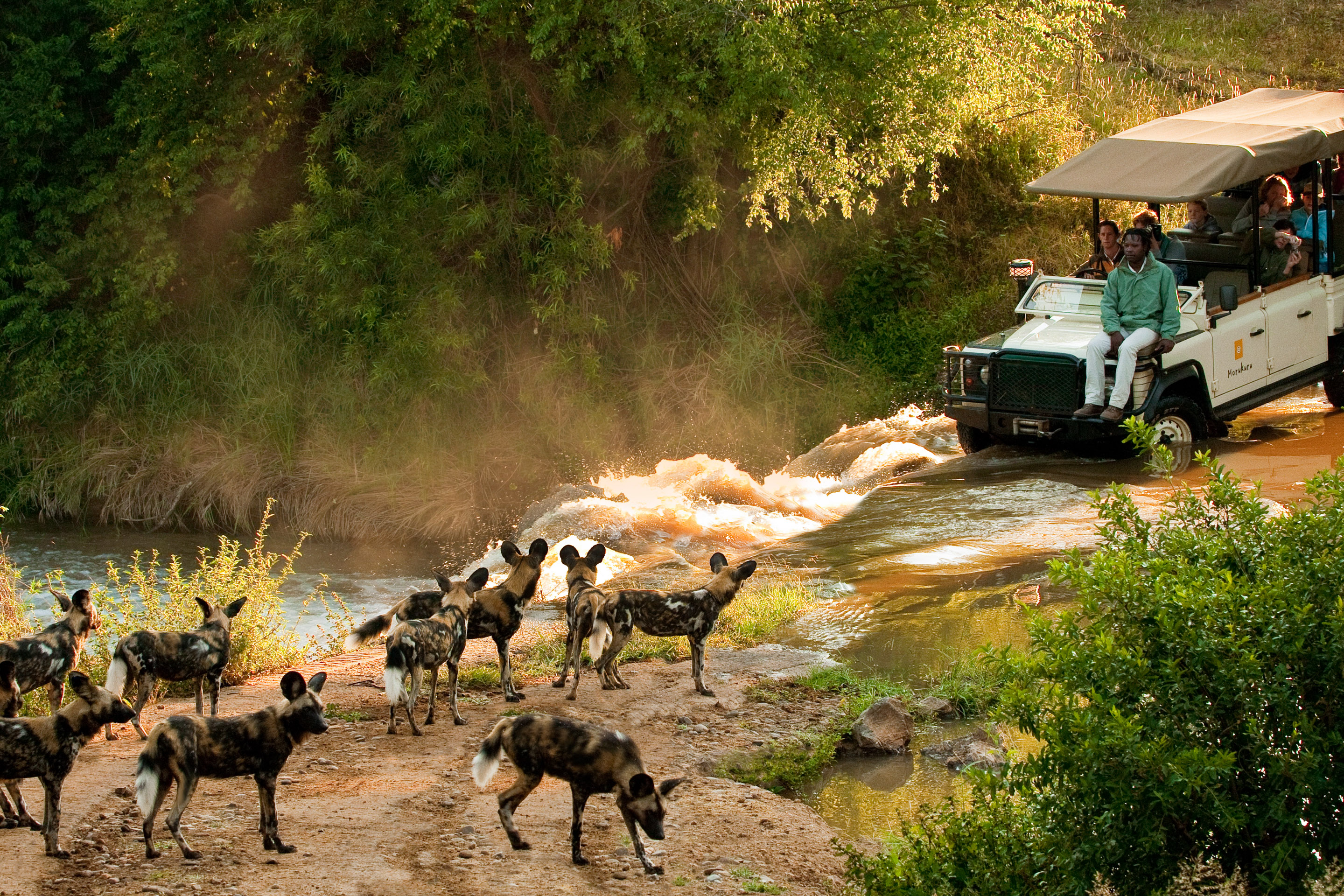 A family escape in South Africa & Mauritius