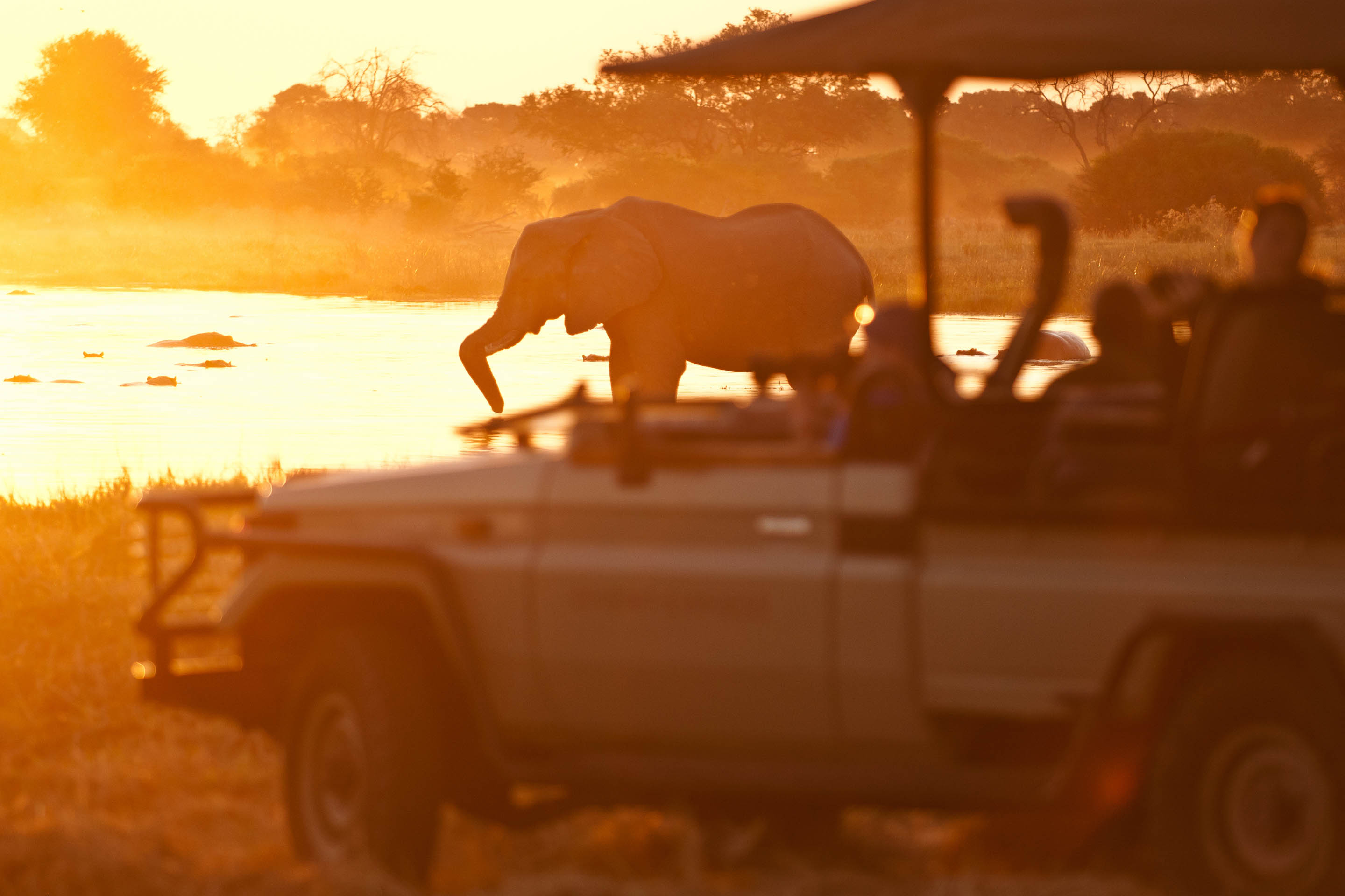 Elephant encounters & desert adventures in Botswana