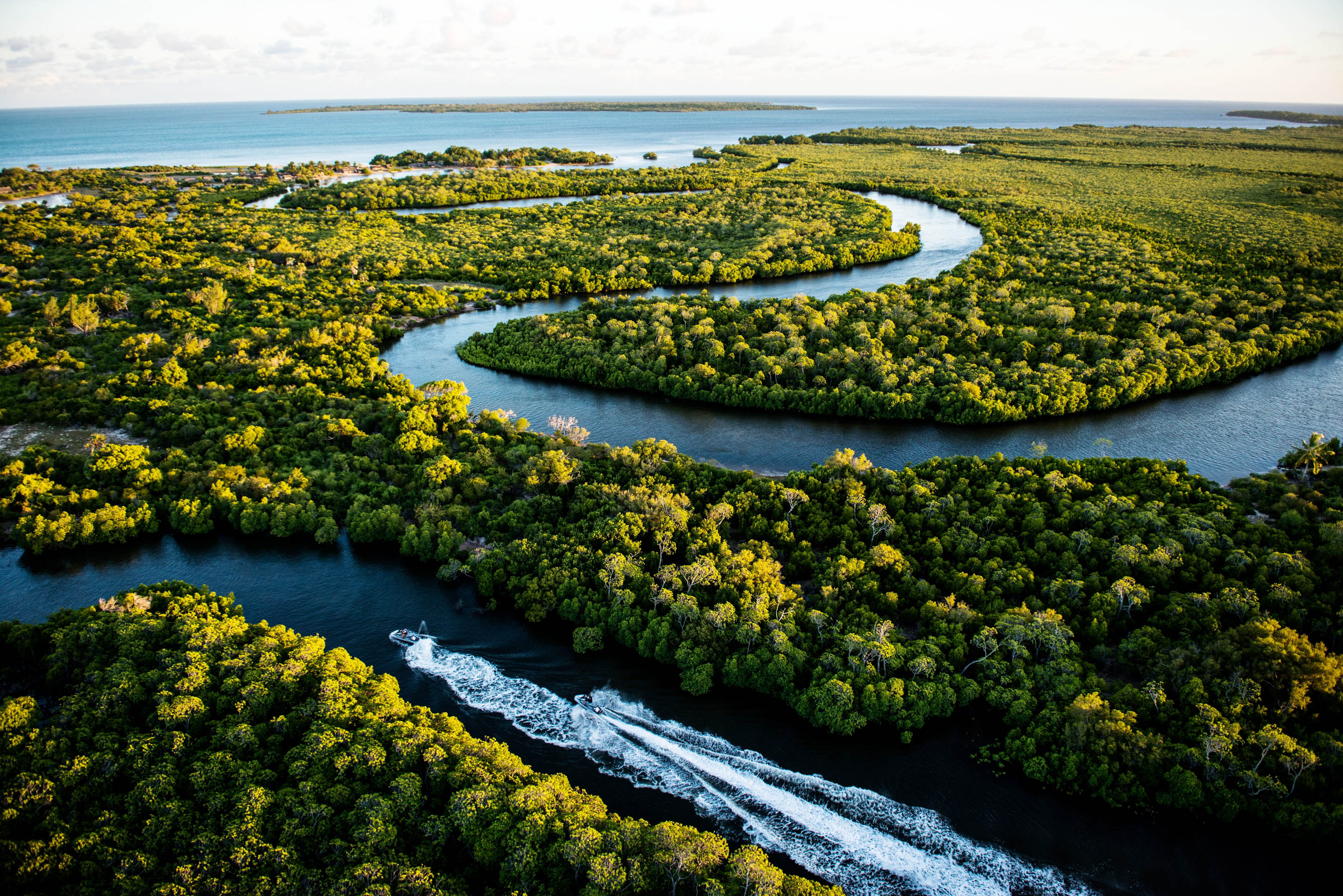 Lions & lemurs: a journey through South Africa & Madagascar