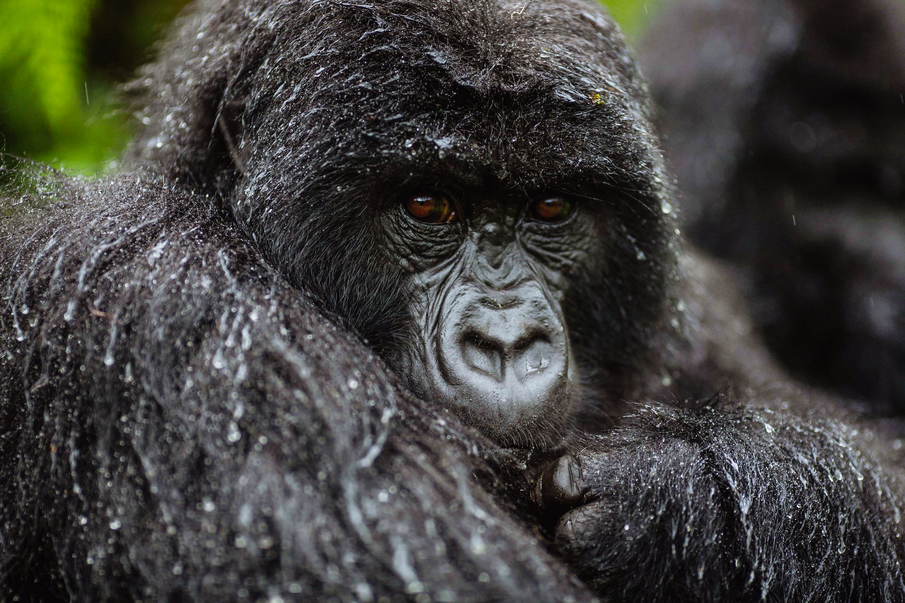 Experience of a lifetime