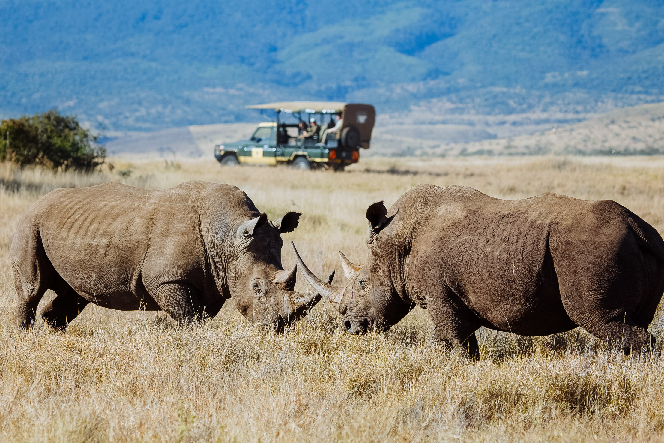 Great service and perfect trip!