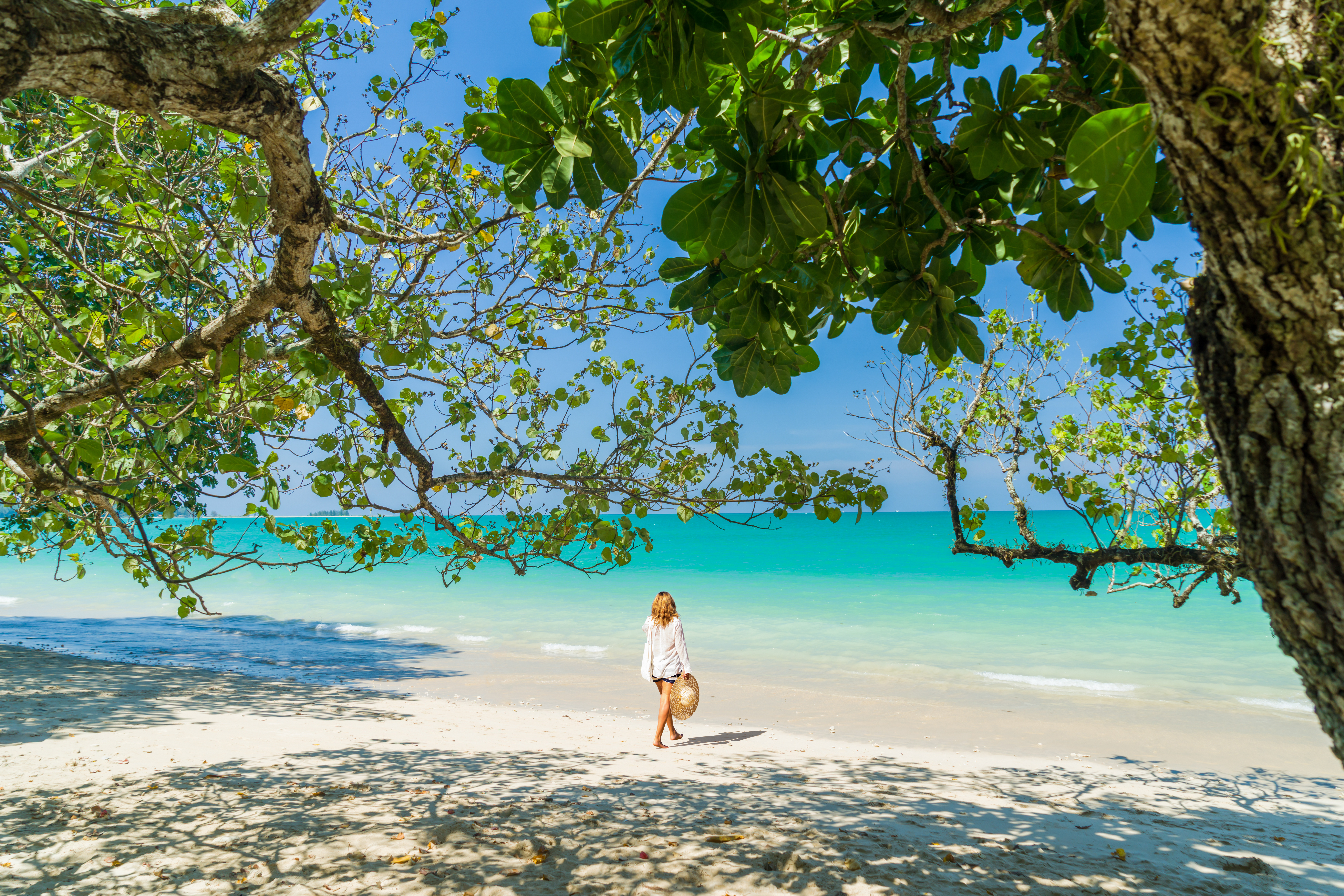 Explore the rainforests & beaches of Thailand