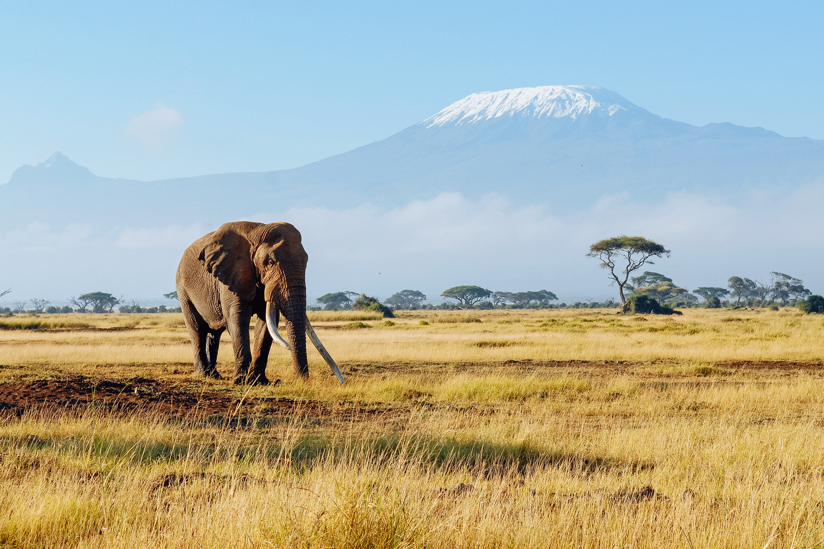 A well thought out trip, enjoyable to the very last day!