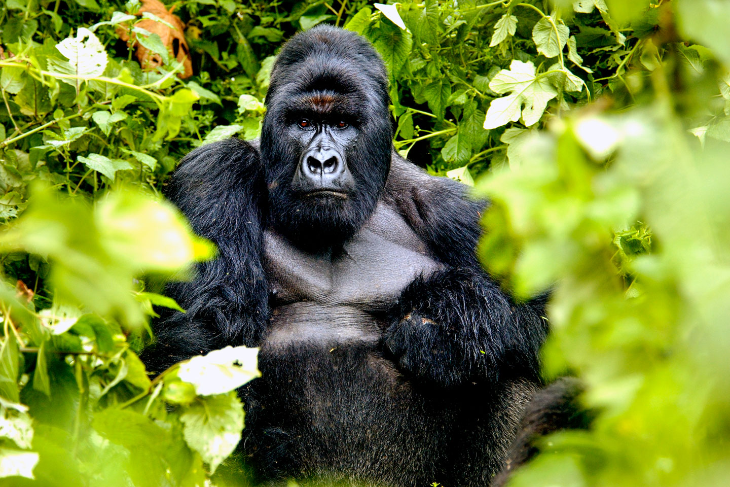 Great job Kat at Timbuktu