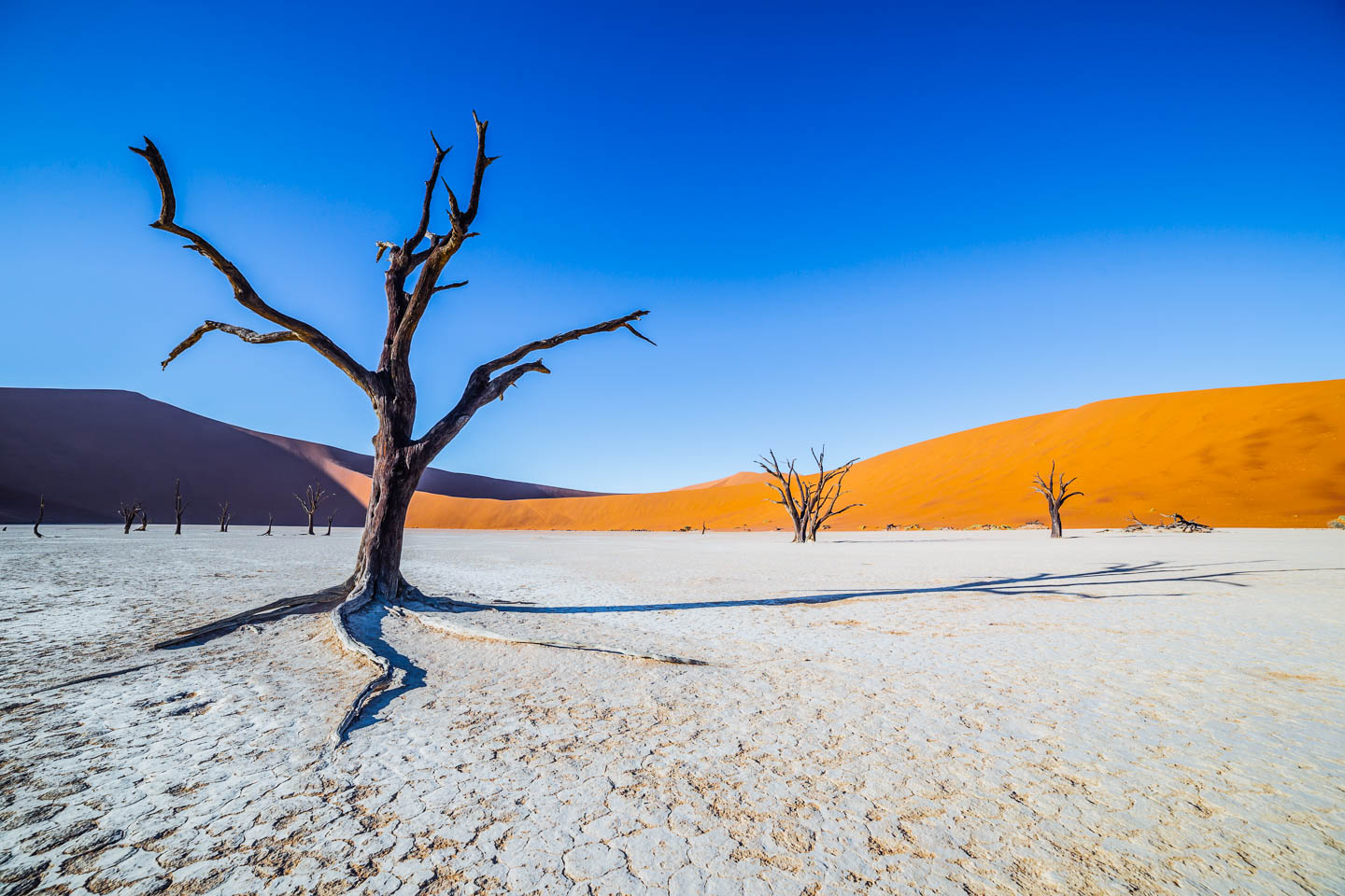 Namibia adventure with a restricted and short planning time