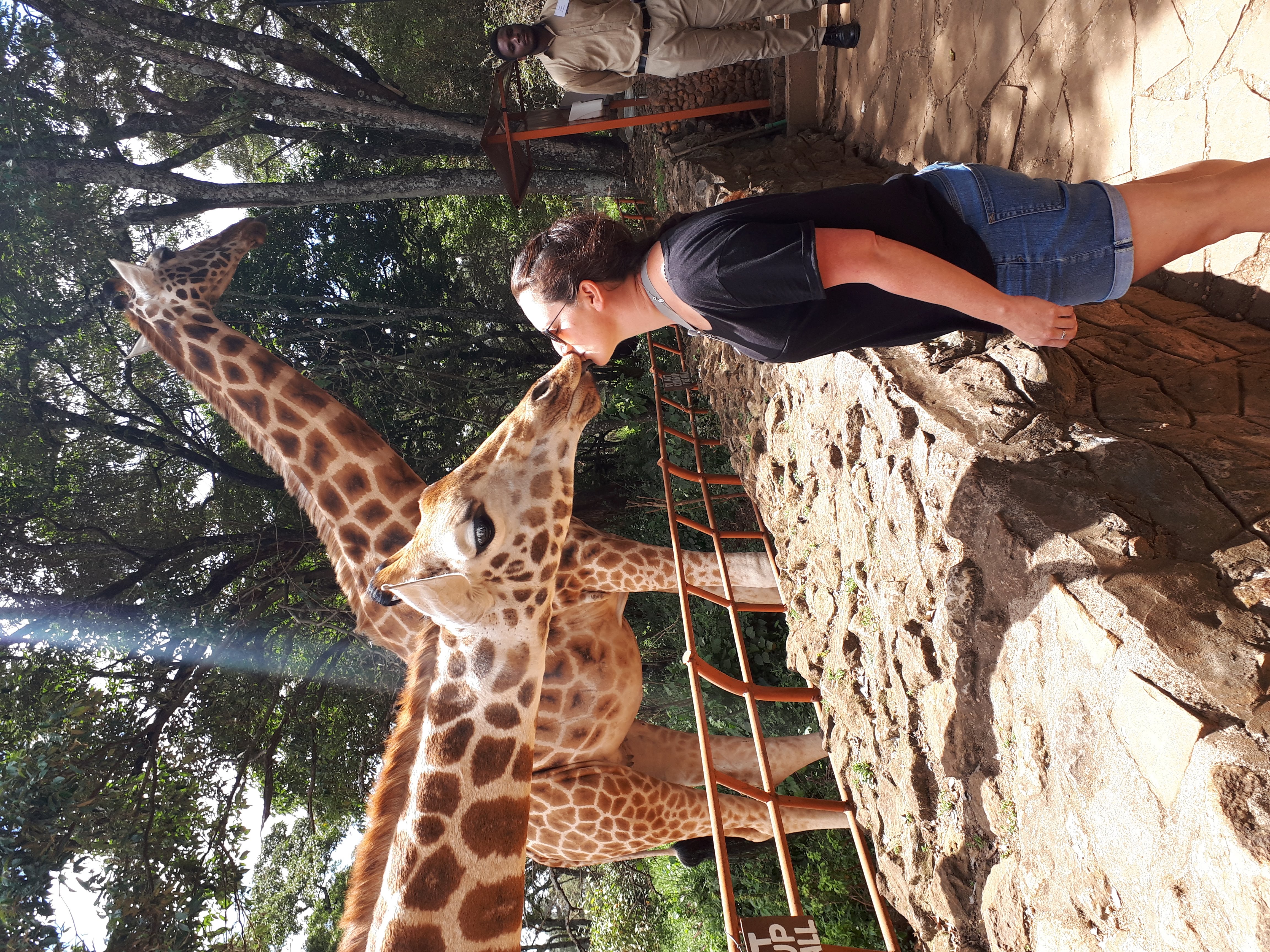 Which destination will you never say no to visiting?